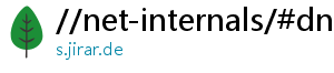 //net-internals/#dns